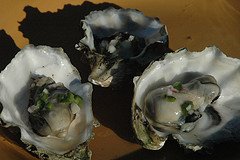 Oysters